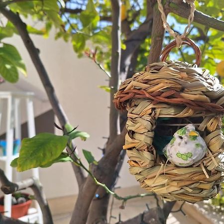 尼科洛西La Pigna Dell'Etna公寓 外观 照片